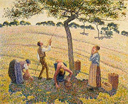 Apple Picking at Eragny-sur-Epte, 1888 by Pissarro | Canvas Print