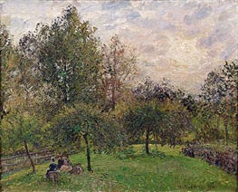 Apple Trees and Poplars in the Setting Sun, 1901 by Pissarro | Canvas Print