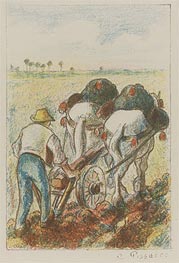 The Plough, 1901 von Pissarro | Papier-Kunstdruck