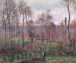 Poplars, Grey Weather, Eragny, 1895 by Pissarro | Canvas Print