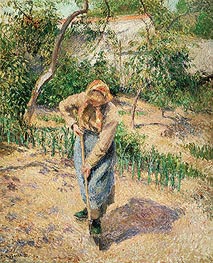Peasant Digging, 1882 by Pissarro | Canvas Print