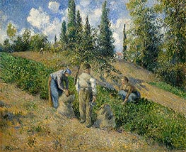 The Harvest, Pontoise, 1881 by Pissarro | Canvas Print