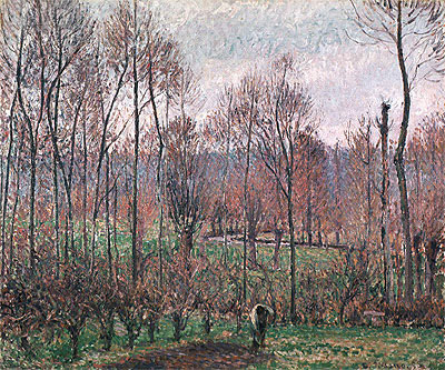 Poplars, Grey Weather, Eragny, 1895 | Pissarro | Giclée Leinwand Kunstdruck
