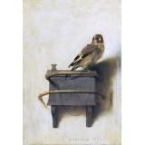 The Goldfinch | Carel Fabritius