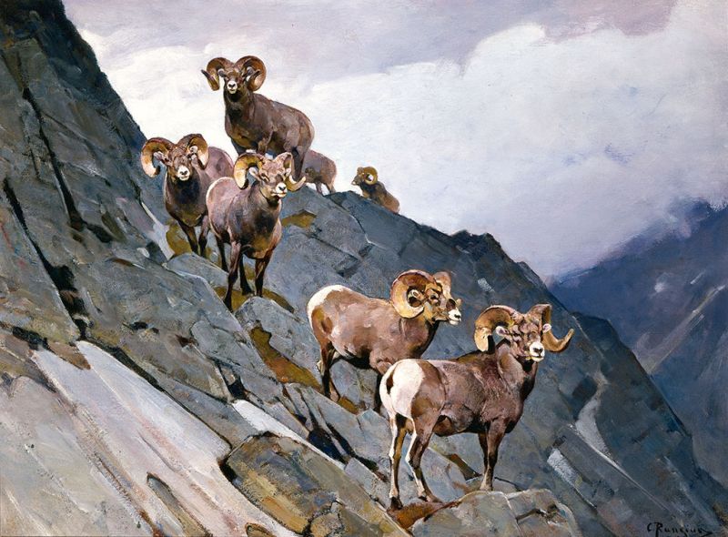 In the Clouds, c.1935 | Carl Rungius | Giclée Canvas Print