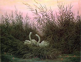 Swans in the Reeds, c.1820 von Caspar David Friedrich | Leinwand Kunstdruck