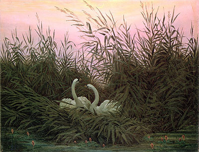 Swans in the Reeds, c.1820 | Caspar David Friedrich | Giclée Leinwand Kunstdruck