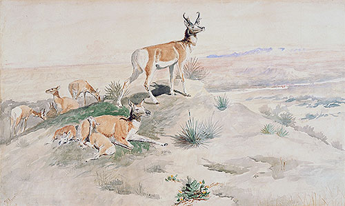 Antelope, 1894 | Charles Marion Russell | Giclée Papier-Kunstdruck
