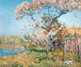 Apple Trees in Bloom, Old Lyme, 1904 by Hassam | Canvas Print