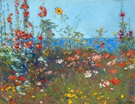 Poppies, Isles of Shoals, c.1890 by Hassam | Canvas Print