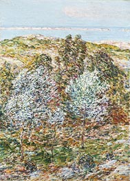 Springtime Vision | Hassam | Painting Reproduction