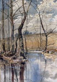Woodland Pond, 1882 von Hassam | Papier-Kunstdruck