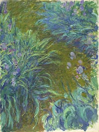 Irises, c.1914/17 by Claude Monet | Canvas Print