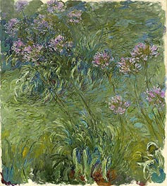 Agapanthus, c.1914/26 by Claude Monet | Canvas Print