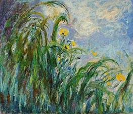The Yellow Iris, c.1924/25 von Claude Monet | Leinwand Kunstdruck