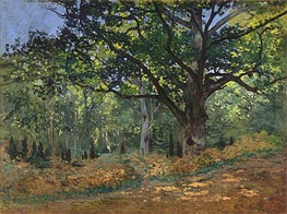 The Bodmer Oak, Fontainebleau Forest | Claude Monet | Painting Reproduction