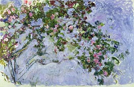 The Roses, c.1925/26 von Claude Monet | Leinwand Kunstdruck