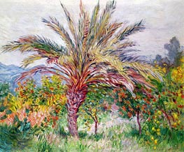 Palm Tree at Bordighera, c.1884 by Claude Monet | Canvas Print