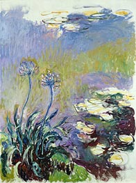 The Agapanthus, c.1914/17 by Claude Monet | Canvas Print