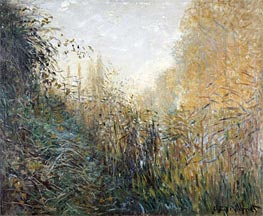 Claude Monet | Bulrush (Juncus), 1876 | Giclée Canvas Print