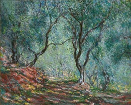 Olive Grove in the Moreno Garden | Claude Monet | Gemälde Reproduktion