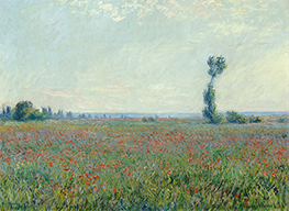 Mohnfeld, 1926 von Claude Monet | Leinwand Kunstdruck