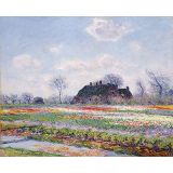 Tulip Fields at Sassenheim near Leiden, 1886 - Claude Monet