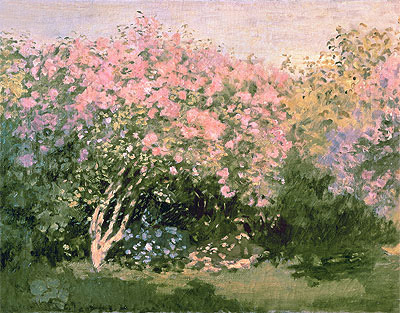 Flieder in der Sonne, 1873 | Claude Monet