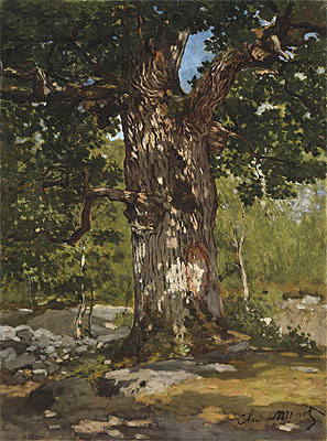 The Oak at Bas-Breau, Le Bodmer, 1865 | Claude Monet | Giclée Canvas Print