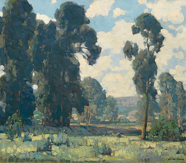 Edgar Alwin Payne | Eucalyptus Trees, Undated | Giclée Canvas Print