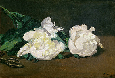 Branch of White Peonies and Secateurs, 1864 | Manet | Giclée Canvas Print