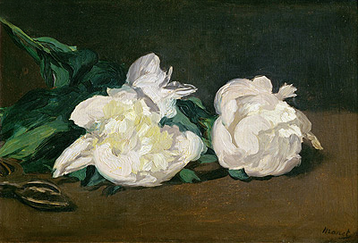 Branch of White Peonies and Secateurs, 1864 | Manet