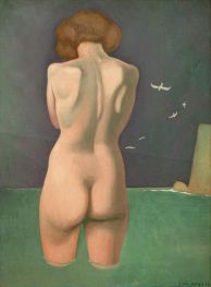 Baigneuse aux oiseaux, 1919 by Félix Vallotton | Canvas Print