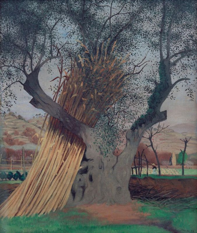 Der alte Olivenbaum, 1922 | Félix Vallotton | Giclée Leinwand-Kunstdruck