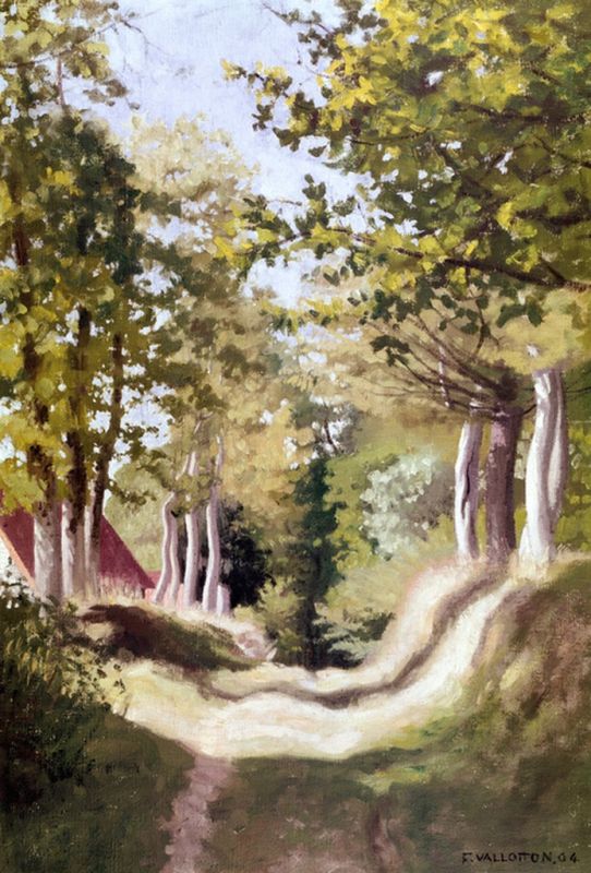 Unterholz, 1904 | Félix Vallotton | Giclée Leinwand-Kunstdruck