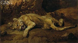 The Lioness | Frans Snyders | Gemälde Reproduktion