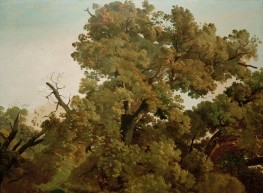 Oak, c.1829/30 by Friedrich Nerly | Canvas Print