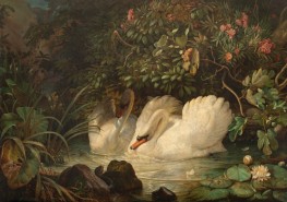 Swans Defending Their Nest Against a Snake, 1859-1860 by Friedrich Nerly | Canvas Print