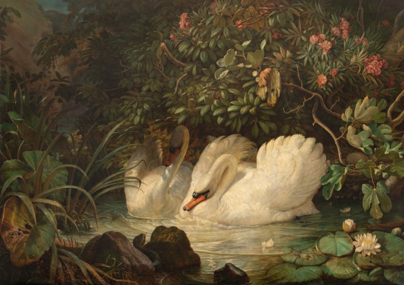 Swans Defending Their Nest Against a Snake, 1859-1860 | Friedrich Nerly | Giclée Canvas Print