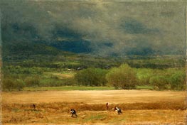 The Wheat Field, c.1875/77 von George Inness | Leinwand Kunstdruck