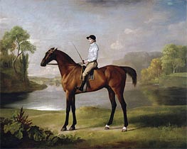 The Marquess of Rockingham's 'Scrub', 1762 by George Stubbs | Canvas Print