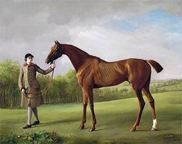 Lustre, held by a Groom | George Stubbs | Painting Reproduction