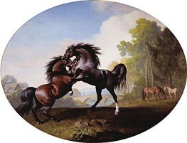 Stallions Fighting | George Stubbs | Painting Reproduction