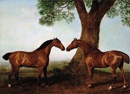 Two Bay Hunters by a Tree | George Stubbs | Painting Reproduction