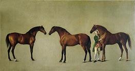 'Whistlejacket' and Two other Stallions with Simon Cobb, the Groom | George Stubbs | Painting Reproduction