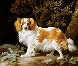 A Liver and White King Charles Spaniel in a Wooded Landscape | George Stubbs | Painting Reproduction