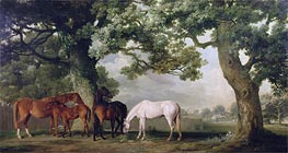 Mares and Foals Beneath Large Oak Trees | George Stubbs | Painting Reproduction