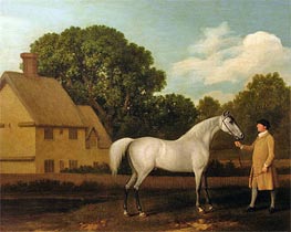 'Gimcrack' | George Stubbs | Painting Reproduction