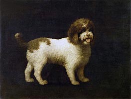 A Water Spaniel, 1769 by George Stubbs | Canvas Print