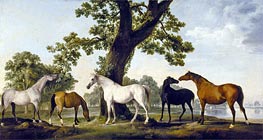 Five Brood Mares | George Stubbs | Painting Reproduction